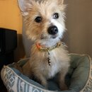 Atticus Finch! (989623)