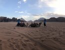 Day Trip in Wadi Rum with Al Rahayeb (987757)