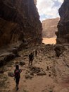 Day Trip in Wadi Rum with Al Rahayeb (985961)
