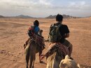 Day Trip in Wadi Rum with Al Rahayeb (988679)