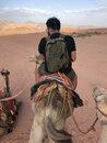 Day Trip in Wadi Rum with Al Rahayeb (987722)