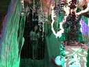 Visiting Meow Wolf with Bao (988552)