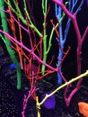 Visiting Meow Wolf with Bao (984330)