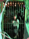Visiting Meow Wolf with Bao (988254)