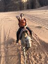 Day Trip in Wadi Rum with Al Rahayeb (992110)