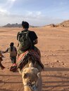 Day Trip in Wadi Rum with Al Rahayeb (985388)