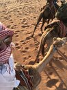 Day Trip in Wadi Rum with Al Rahayeb (989595)