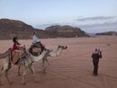 Day Trip in Wadi Rum with Al Rahayeb (993071)