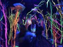 Visiting Meow Wolf with Bao (984743)