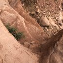 Petra with Ben, Felipe, Wan Shan, and Bill (985588)