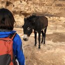 Petra with Ben, Felipe, Wan Shan, and Bill (983855)