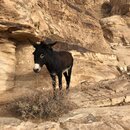 Petra with Ben, Felipe, Wan Shan, and Bill (982540)
