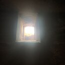 Petra with Ben, Felipe, Wan Shan, and Bill (983504)