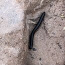 Petra with Ben, Felipe, Wan Shan, and Bill (992921)