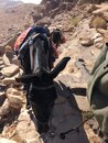 Donkey Riding to Jabal Haroun (984297)