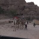 Donkey Riding to Jabal Haroun (992454)