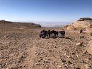 Donkey Riding to Jabal Haroun (989092)