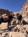 Donkey Riding to Jabal Haroun (984349)