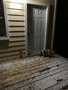 Snow Flurries in Austin (1001876)