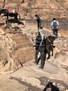 Donkey Riding to Jabal Haroun (989514)