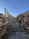 Day Trip to Jerash (988522)