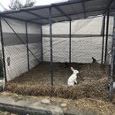 Exploring Ancient Sheki (987190)