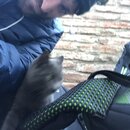 Traveling from Sheki to Tblisi (987269)