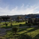 Roaming Around Tblisi (982502)