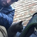 Traveling from Sheki to Tblisi (988595)