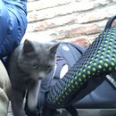 Traveling from Sheki to Tblisi (992780)