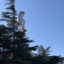 Roaming Around Tblisi (990342)