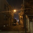 Roaming Around Tblisi (988214)