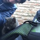 Traveling from Sheki to Tblisi (989099)