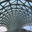 Roaming Around Tblisi (987039)