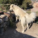 Roaming Around Tblisi (984557)