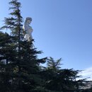 Roaming Around Tblisi (990294)