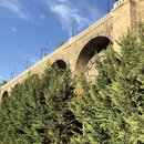 Roaming Around Tblisi (981806)