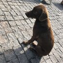 Roaming Around Tblisi (984516)