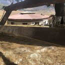 Heading to Bumthang, Bhutan (987606)