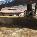 Heading to Bumthang, Bhutan (991565)