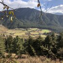 Heading to Bumthang, Bhutan (988519)