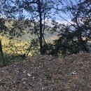 Heading to Bumthang, Bhutan (987894)