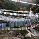 Arrival into Bhutan with Mark (989320)