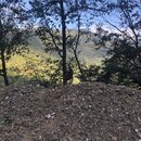 Heading to Bumthang, Bhutan (981227)