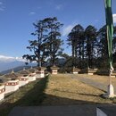 Arrival into Bhutan with Mark (986028)