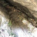 The Burning Lake of Bhutan (991100)