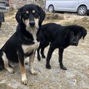 The Burning Lake of Bhutan (990361)