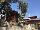Trashigang (982581)