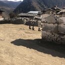 Afternoon Drive to Sakteng School (989632)