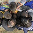 Dorji's House in Phongmey (989628)